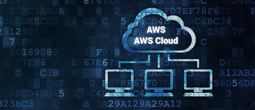 Migrating Web Applications to AWS Cloud for a Diversified Business Group